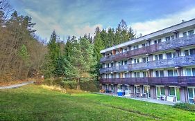 Apartmán na kraji lesa Všemina